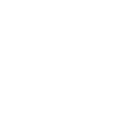 World Experience Organization